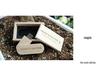 Bamboo & Wood 32GB USB Flash Drive with Custom Logo - Perfect for Graduation Souvenirs & Promotional Gifts