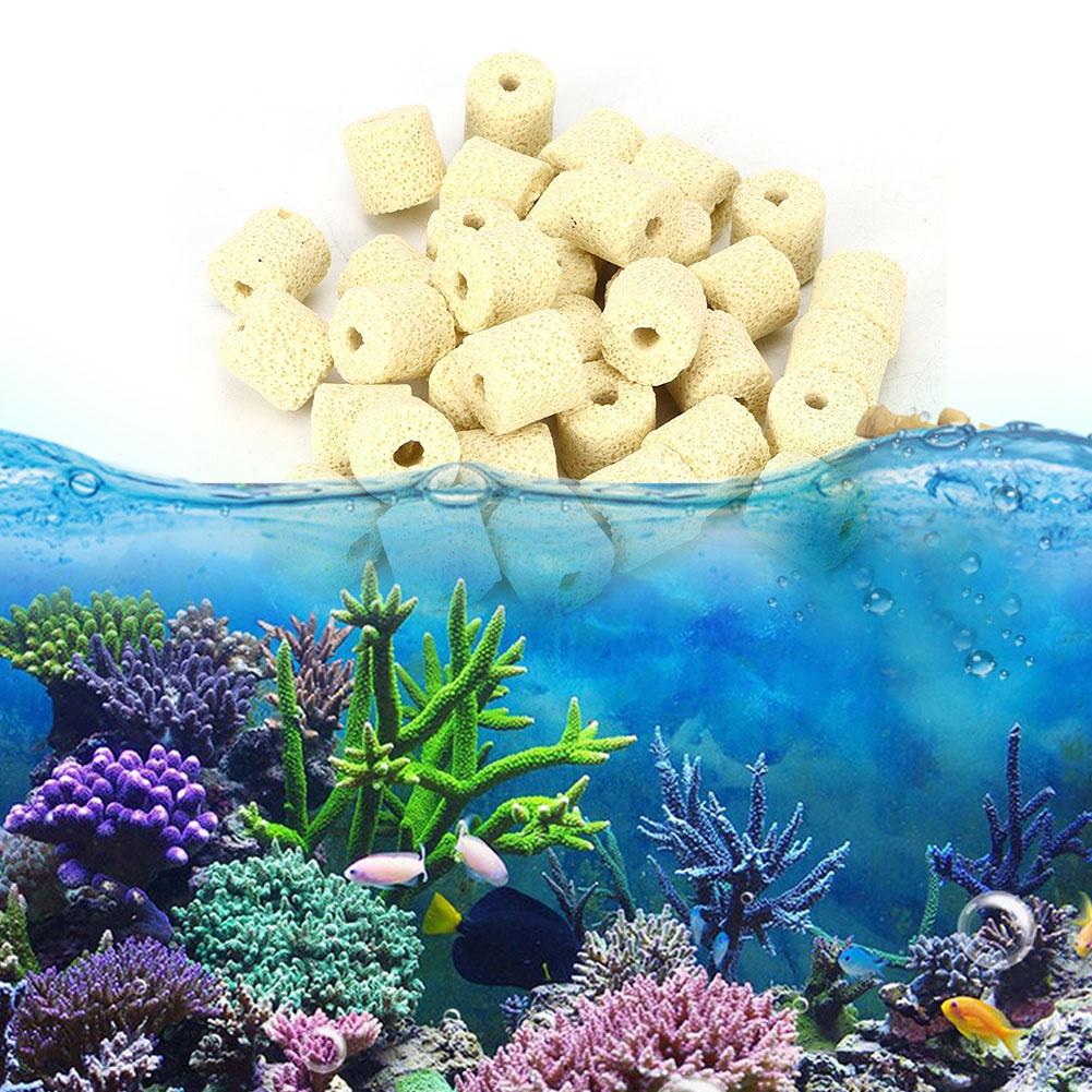 Bacteria Ring Filter Media Stone Filtratlon Material for Aquarium Fish Tank