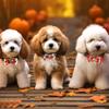 Joyful Pet Christmas Collar Featuring Cartoon Bow Tie And Festive Jingle Bells Pets For