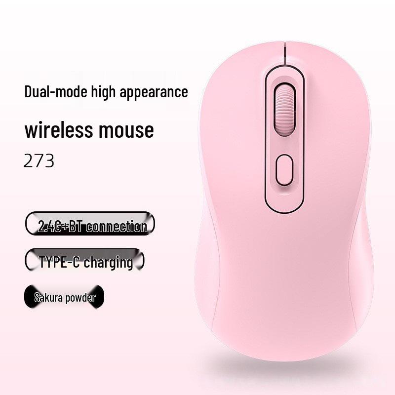 Wireless Bluetooth Dual-Mode Silent Gaming & Office Mouse with Type-C Charging