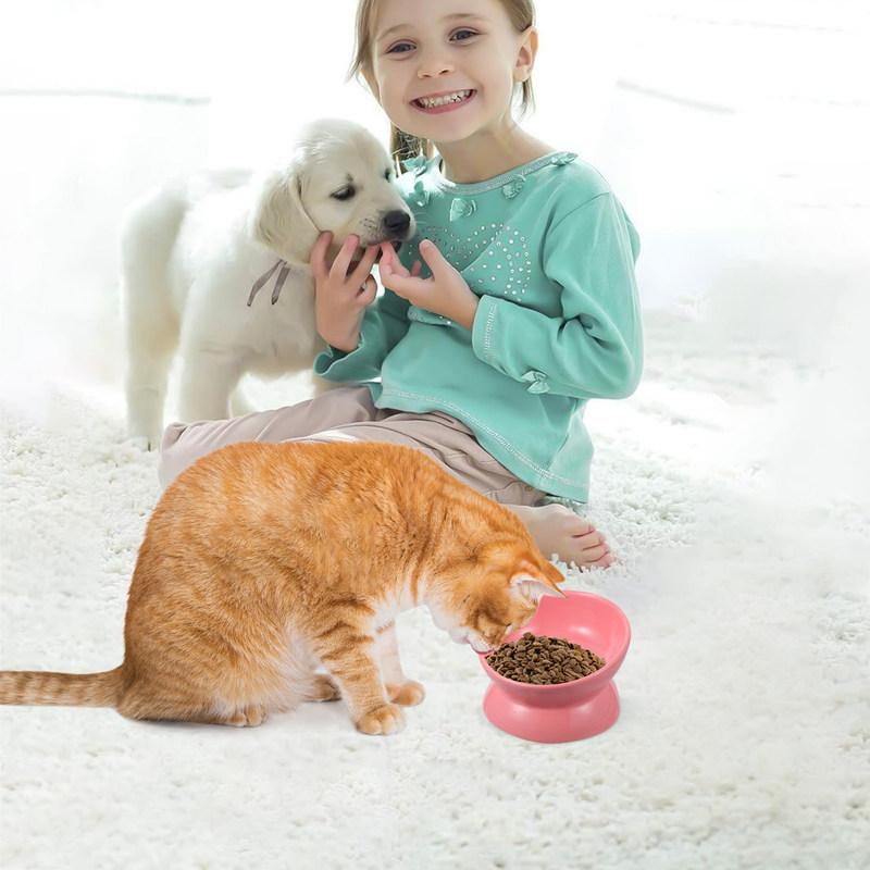 Ceramic Raised Cat Food Bowl Elevated Feeding Slanted Design Protects Neck Prevents Vomiting Easy Clean Dishwasher Safe Pet