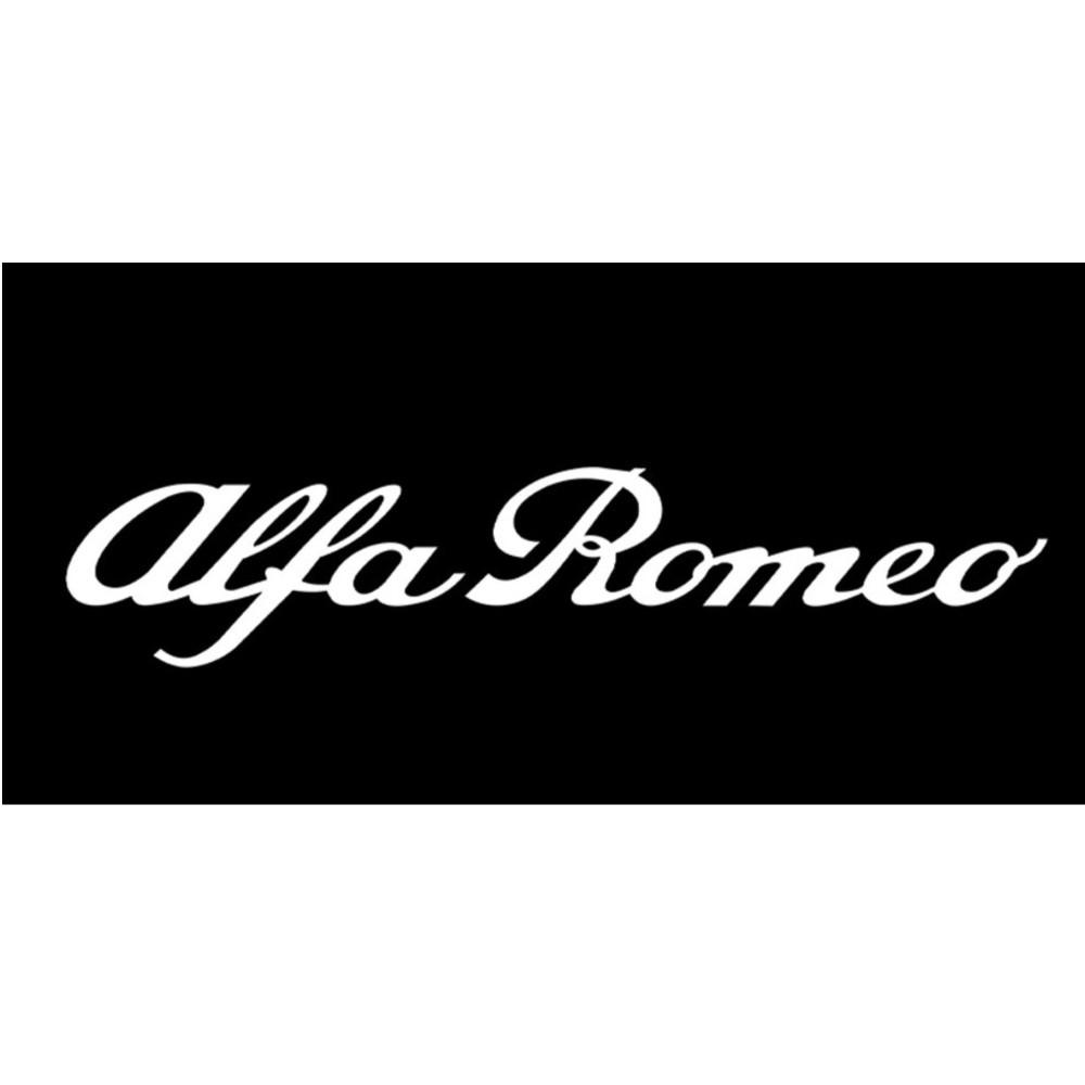 2/4PCS Car Label Waterproof Car Accessories For Alfa Romeo Giulia Stelvio MiTo Giulietta Tonale ALFA 4C Disco Volante Gloria zk5