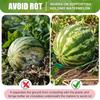 5pcs/lot Melon Cradles Plant Pumpkin Support, Watermelon Holder Garden Harvest Basket Protector for Squash Cantaloupe Pumpkin