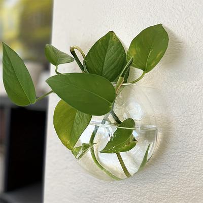 Jarrón transparente para colgar en la pared, jarrón hidropónico semicircular, peceras, macetas, decoración de pared para oficina