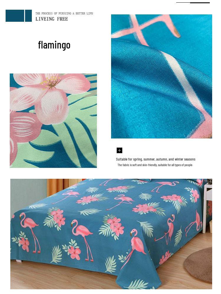 Flannel Cartoon Bed Sheet for Student Dormitory - Single/Double Bed, Free Shipping
