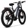 Hedatx TX29 Full Suspension Electric Mountain Bike for Adults with 48V 19.2Ah Battery
