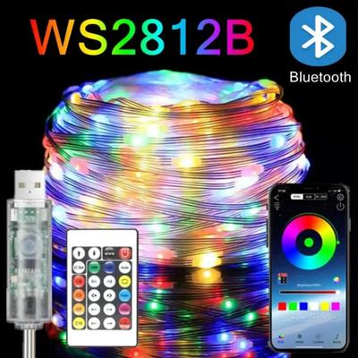 WS2812B Bluetooth USB Catena LED Luci Fata Dreamcolor RGBIC Fai da Te Festa Festival Luci Albero Decorazione Matrimonio Ghirlanda Lampada