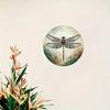 Dragonfly Quote Tin Metal Art Sign Home Garden Cafe Office Decor