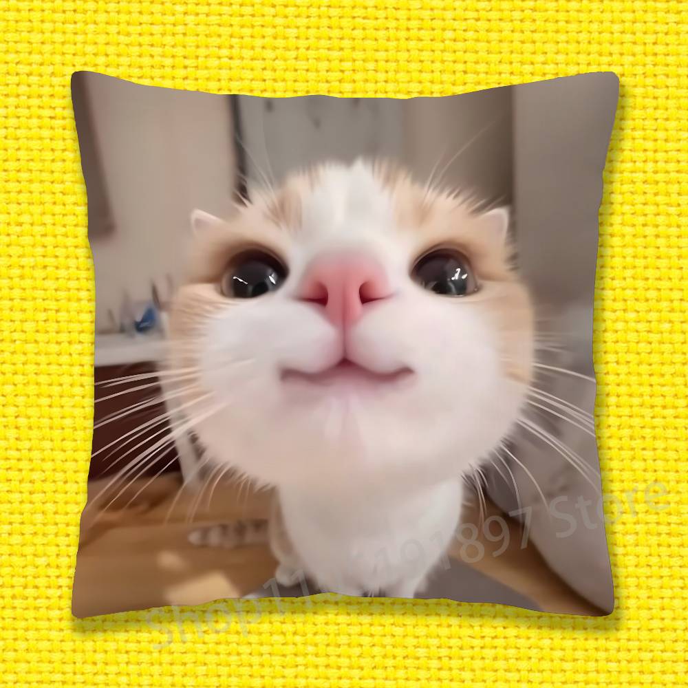 Cat Pet Cute Funny Throw Pillow Case For 45x45cm 40x40cm 30x30cm 50x50cm 55x55cm Square Home Pillowcase Case