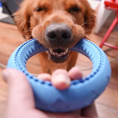 Anello Giocattolo Interattivo in Gomma TPR Espansa: Giocattolo da masticare per cani di taglia media e grande, per la dentizione e per alleviare la noia