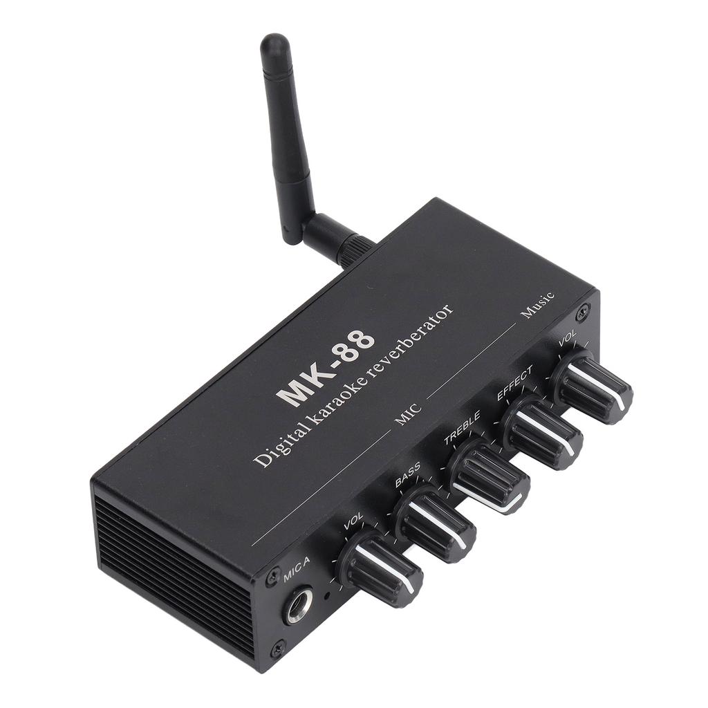 Digitaler Hallgerät Stereo-Verstärker Bluetooth 5.0 Dualer Mikrofoneingang DC 12V