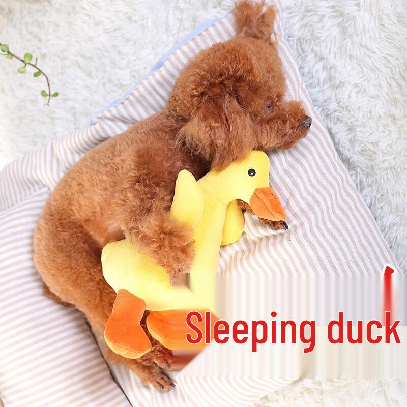 Hoopet Squeaky Plush Duck Dog Toy