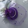 Fascinator Elegant Retro Birdcage Veil Hat Black Veil Top Hair Accessories Bridal Face Veils