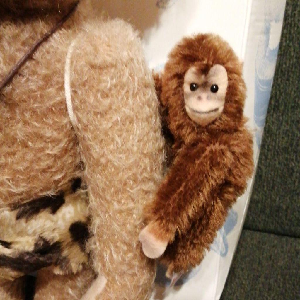 [USED] Steiff Teddy Bear Johnny