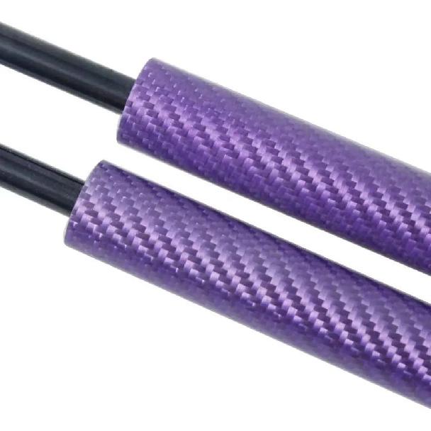 Pistoane Geam Spate pentru Honda CRV CR-V 1995 1996 1997 1998 1999 2000 2001 Suporturi Ridicare Arcuri cu Gaz Amortizor Tije de Susținere