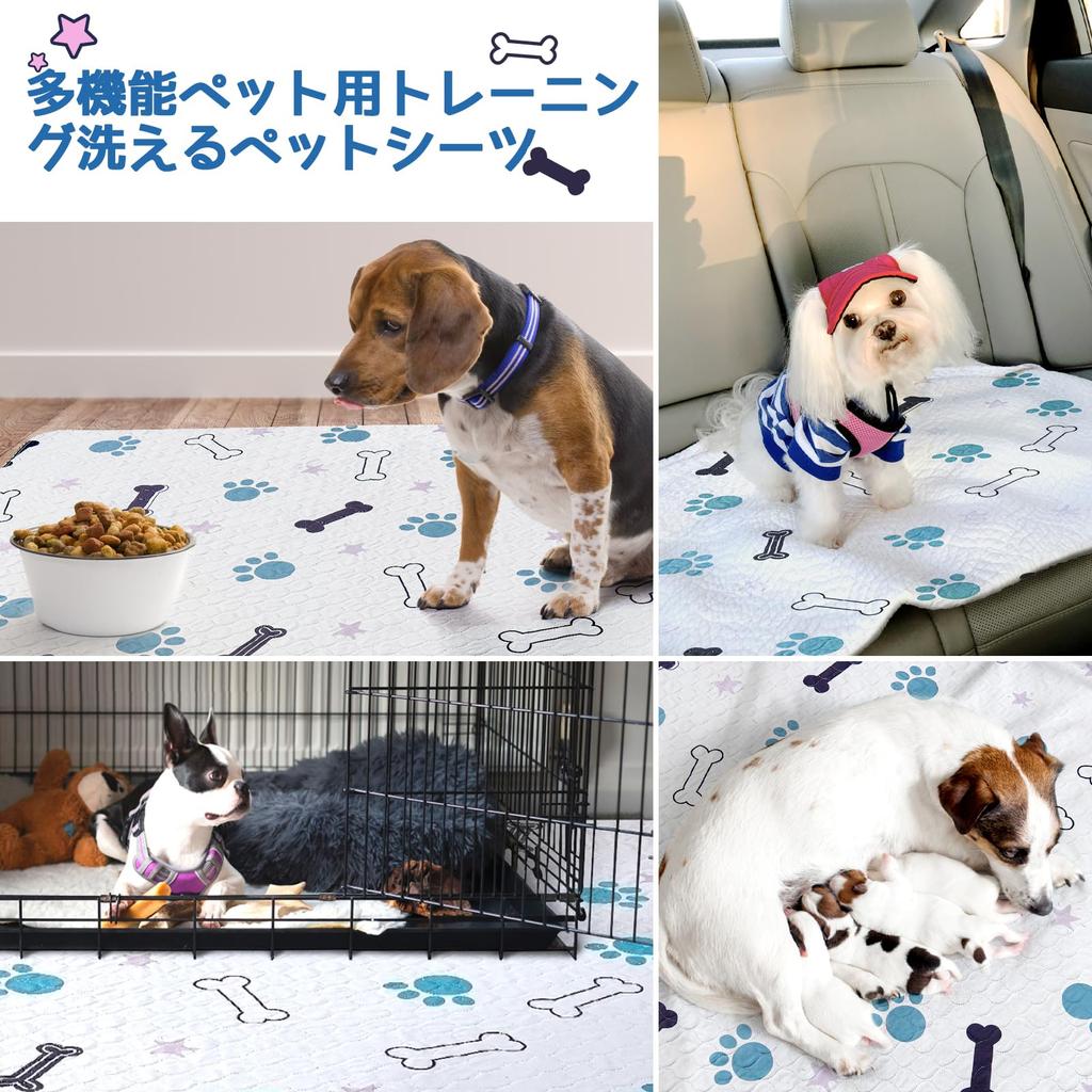 LOOBANI Set of 2 Washable Pet Sheets for Dogs and Pee Pet Toilet Underlay Quick Reusable Set of Cats, Mat, Mat, Drying, Non-Slip, (8092CM, 2)