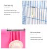 Hanging Spring Grass Rack Feeder for Small Pets