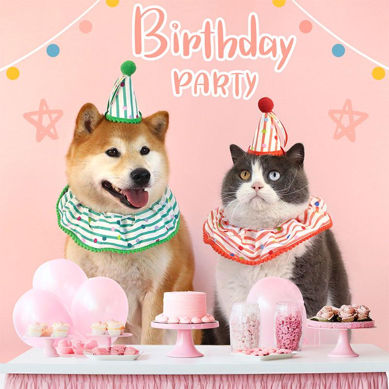 Conjunto de Bufanda y Sombrero de Cumpleaños para Mascotas Bufanda a Cuadros y Sombrero con Volantes Accesorios Temáticos para Fotografía para Gatos y Perros Adorable Set de Babero y Bufanda