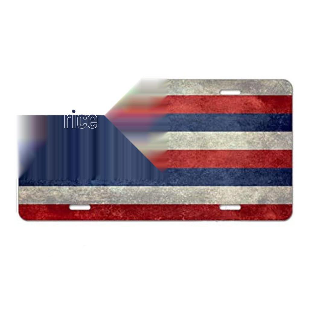 Sublimation Printed US Standard License Plate Metal Sign, 12x6 Inches, Hot-Selling Design