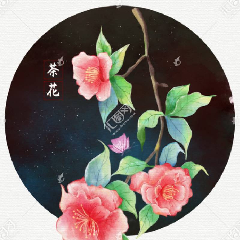 Folding Free Assembly Bike Basket Metal Bike Basket Front Rack Carrier Panniers Bag Luggage Shelf Bracket Trunk for Road / Seat