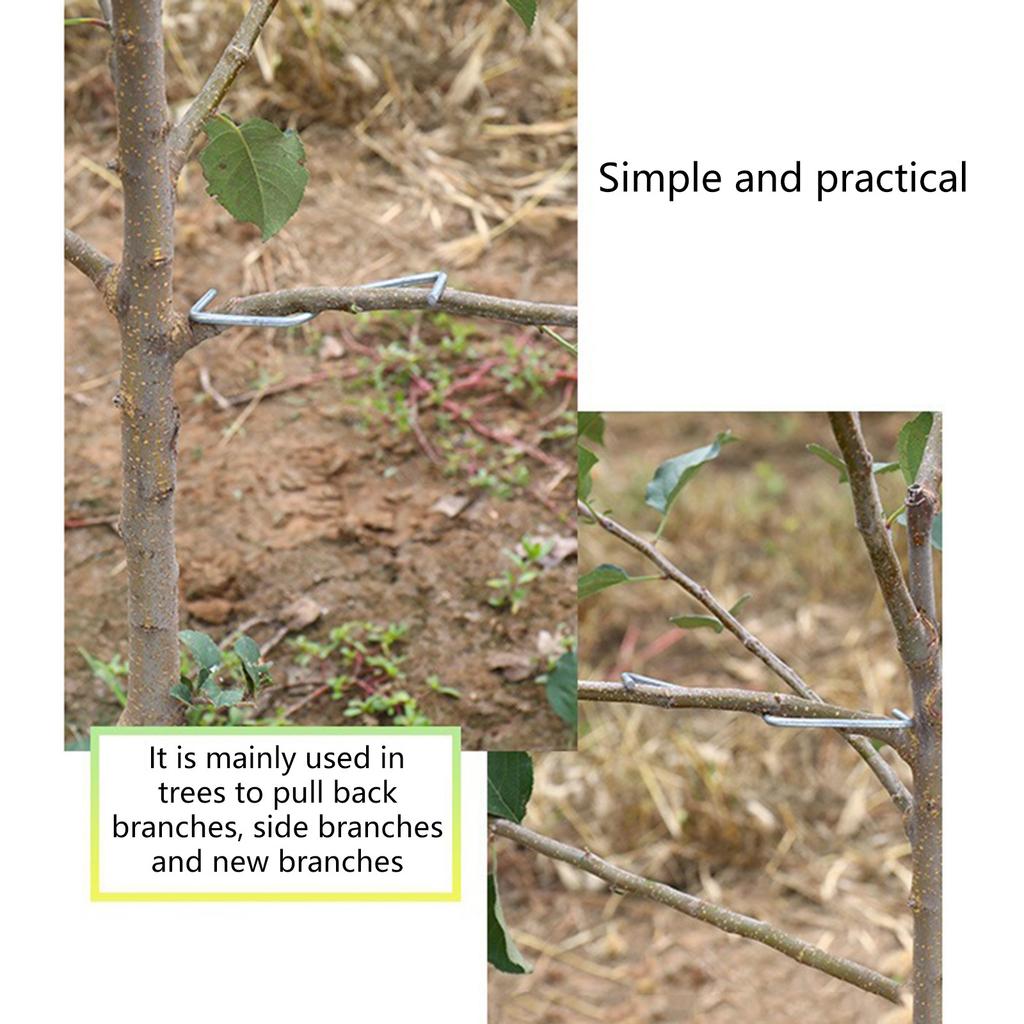 Professional Branch Spreader Set for Fruit Trees 15 Pack 3 Sizes Galvanized Steel Garden Tree Training Equipment Tools