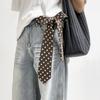 Clothing Decoration Korean Leopard Print Necktie Long Wave Point JK Uniform Necktie College Style Retro Polka Dot Tie Daily