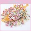 Mini Seiden Gänseblümchen Köpfe Für Zuhause Hochzeit Basteln Party Dekorationen Sonderzeichen Inklusive