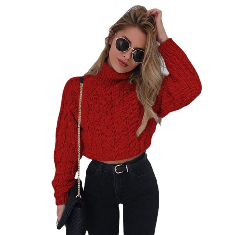 High Collar Knit Long Sleeve Short Top Turtleneck Knitting Long Sleeve Short Top
