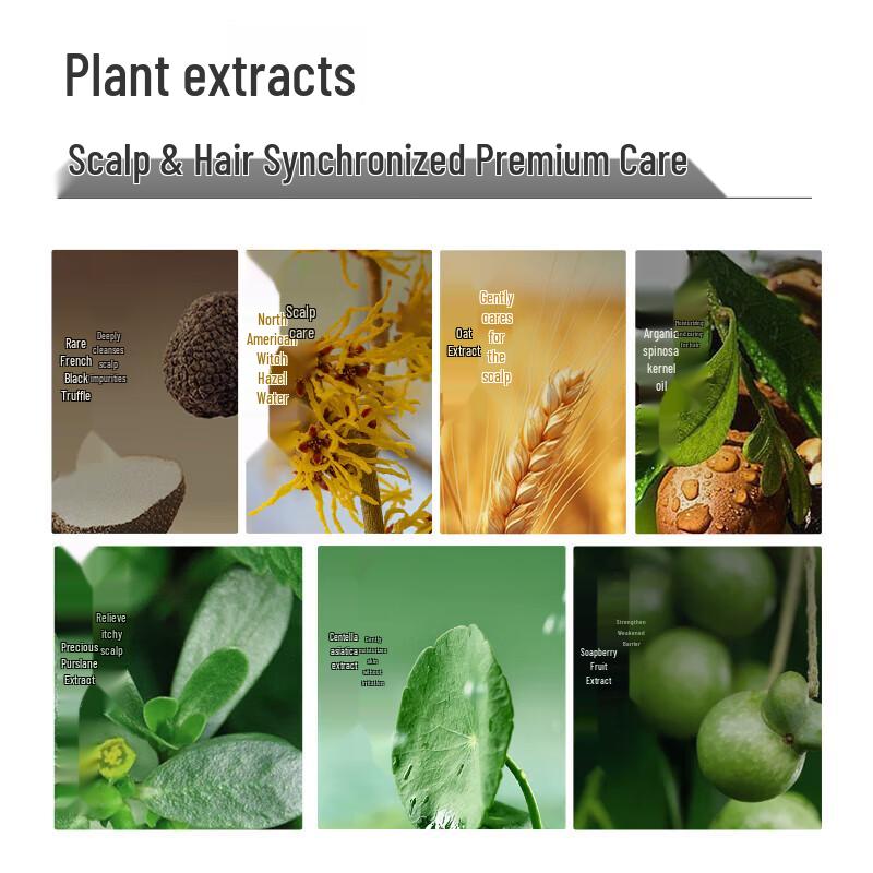 SETERRON Amino Acid Anti-Dandruff Shampoo