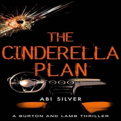 The Cinderella Plan by Abi Silver Paperback Book 9781785631276
