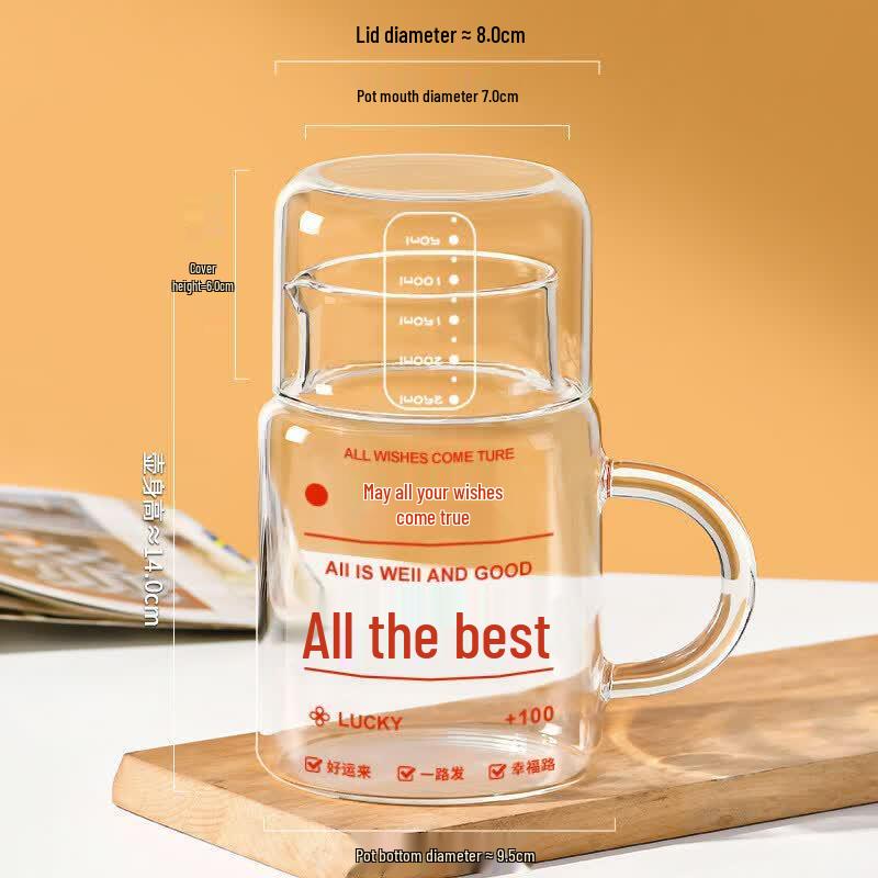 Youluo High Borosilicate Glass Water Bottle with Straw