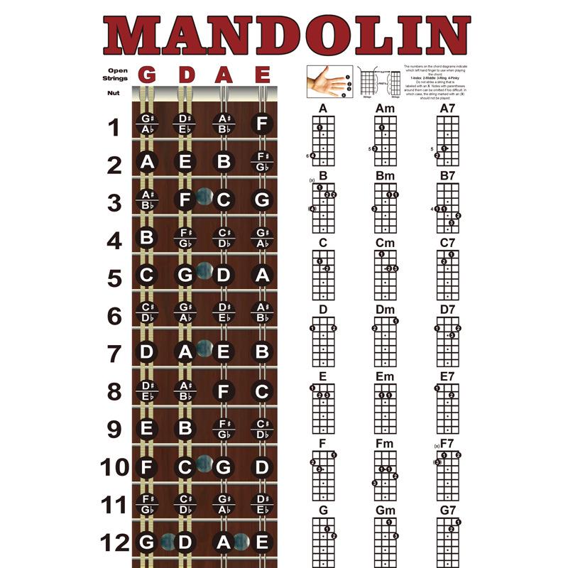 Mandolin Chord and Fingering Practice Chart