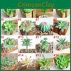 Vibrantly Colored Artificial Succulent Diy Faux Plant For Lifelike Garden Decor