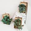 Yousheng Wall Framed Artificial Plant Faux Greenery Plant In Frame Wall Decor Hanging Fake Bonsai for Home Garden Room Yard Wedding Party Vertical