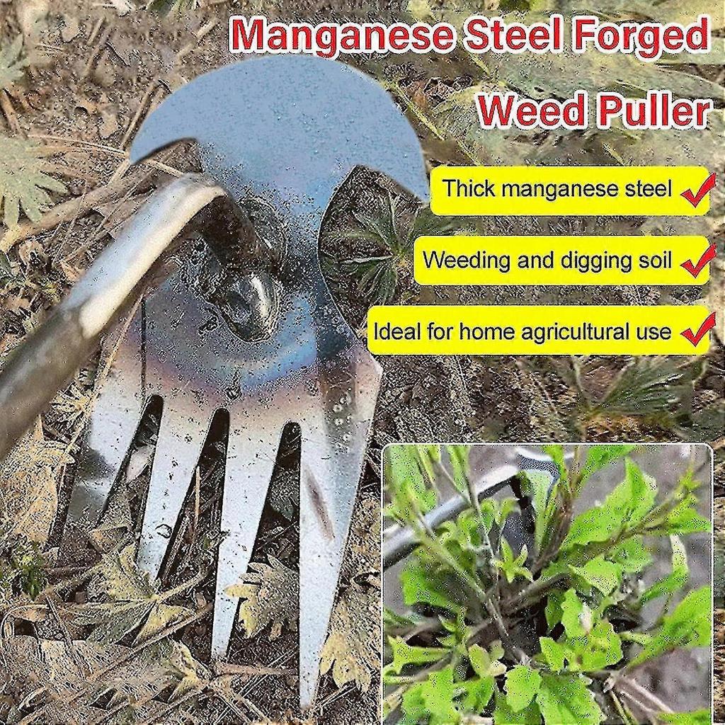 4-Zahn Gartenunkrautstecher Werkzeug, Upgrade Ausreiß-Unkrautentferner Werkzeug, Unkrautgreifer Metall-Unkrautentferner Zieher, Zweizweck-Unkrautstecher 2025