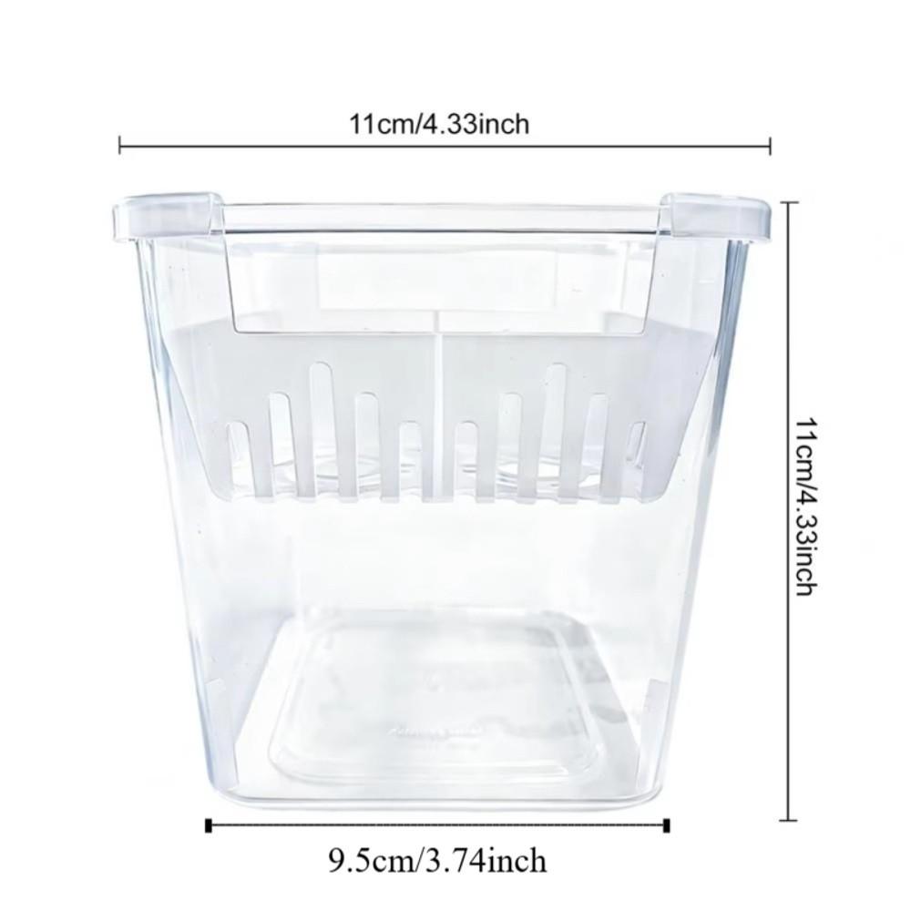 3PCS 4-grides Design Hydroponic Flower Pot with Drainage Holes Transparent Planting Basket Plastic Square Tulip Bulb Planter