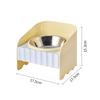 Elevated Stainless Steel Cat Bowl, Anti-Spill Raised Pet Feeder for Cats Small Dogs