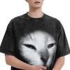 Oversized Washed T-Shirt Cat Meme Ibuprofen  Loose T Shirts  Hippie Tshirt for Mens Summer Y2K Retro Casual Tees