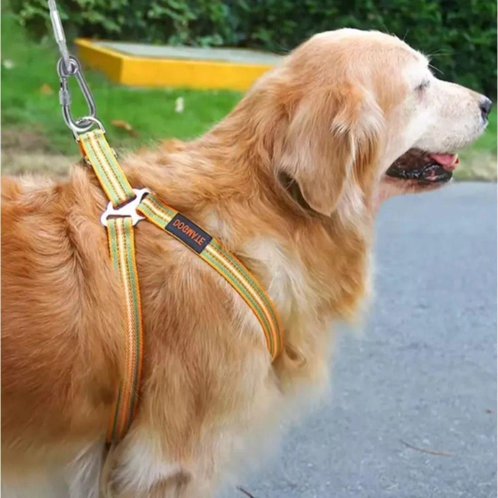 Cavo di Ancoraggio per Cani in Acciaio Inossidabile Robusto Doppia Testa per Cani Addestramento all'Aperto