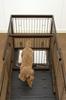 Richell Wooden Sliding Pet Playpen with Divider, Dark Brown, Wide