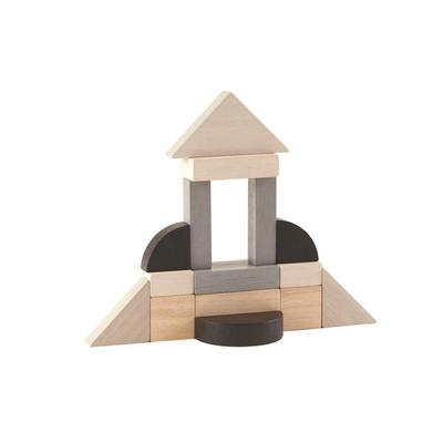 PLANTOYS JAPAN 5371 Bloco de Fração