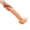 MoDi Lifelike Dildo Anal Sex Toys Men Women Sex Toys