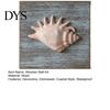 Coastal Wall Decor 3D Conch/Starfish/Shell Wooden Art, Distressed Style Decoration, Mediterranean Ocean Inspired for Bedroom Living Room or