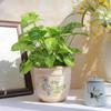 Retro Blue & White Distressed Ceramic Succulent Pot – Simple Decorative Vase for Green Plants & Flowers