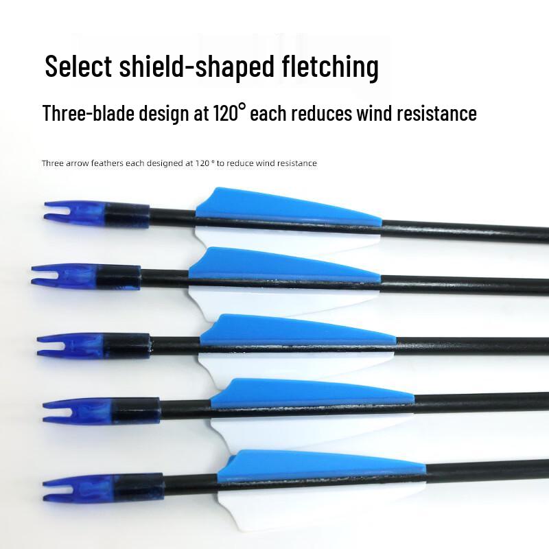 Fiberglass Archery Practice Arrows (6mm)