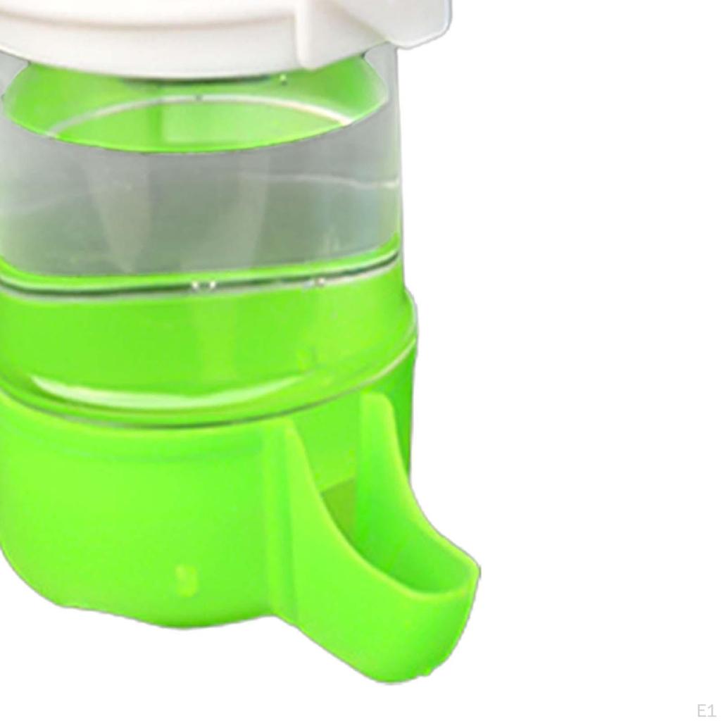 Automatic Bird Feeder, for Birds, Water Fountain, Parakeet
