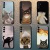 Coque de téléphone Mèmes de Chat Drôles Pour Samsung Galaxy A13,A21s,A22,A31,A32,A52,A53,A71,A80,Coque Noire Souple