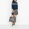 Dior Mittlere DIOR Book Tote - Ecru und Blau DIOR Oblique Stickerei M1296ZRIW-M928