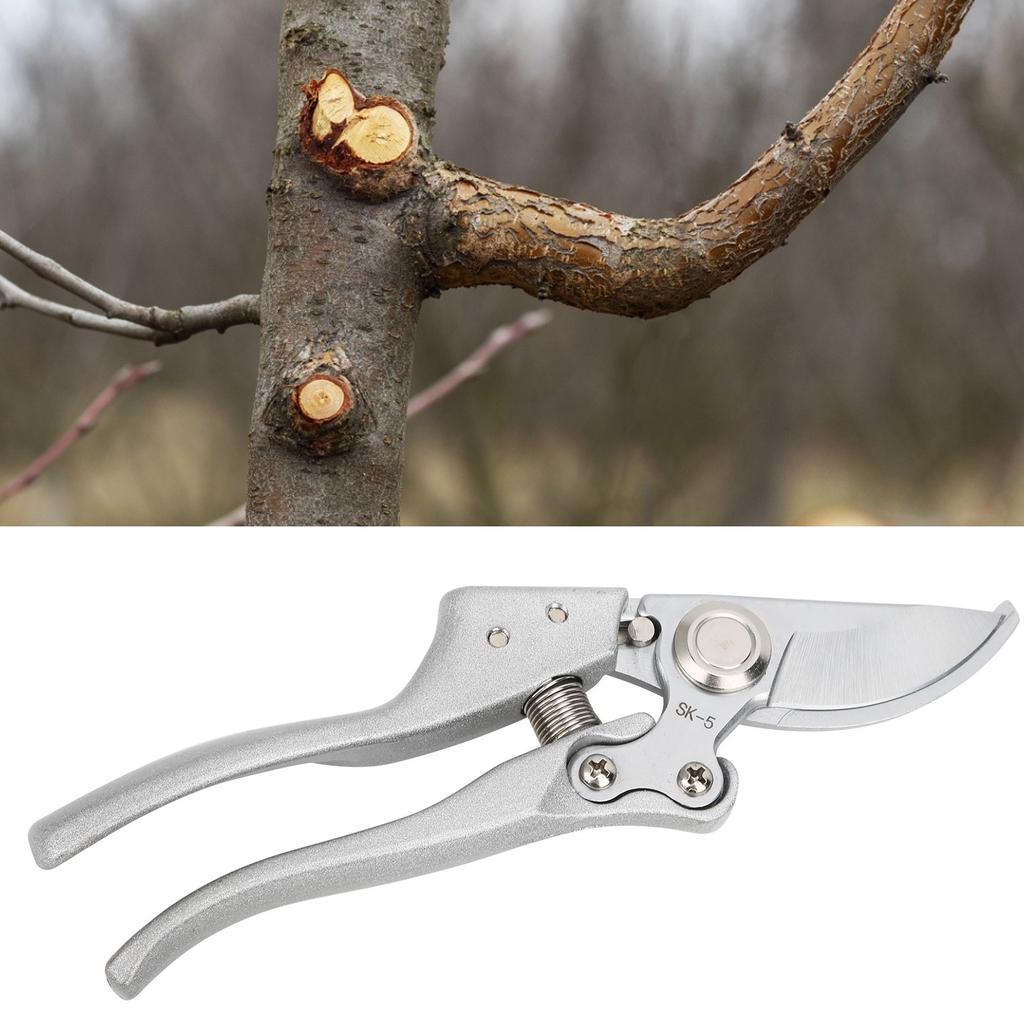 Bonsai Branch Cutter Silver Fruit Pruning Alloy Steel Gardening Shears Scissors Tools