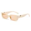 Rereo Cat Eye Frame Sunglasses Women Luxury V Sun Glasses Men Fashion Rectangle Jelly Glasses With Metal Hinges UV400